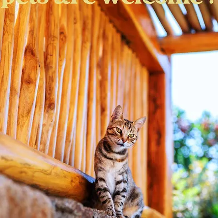 Mileo 5* Καλό Λιβάδι