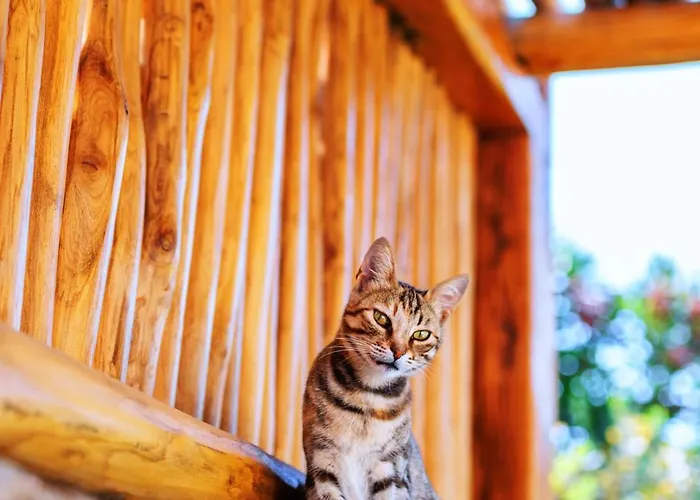 Mileo 5* Kalo Livadi